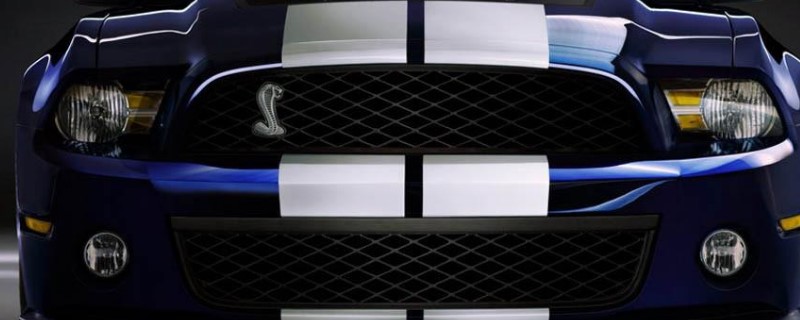 车标蛇是什么车